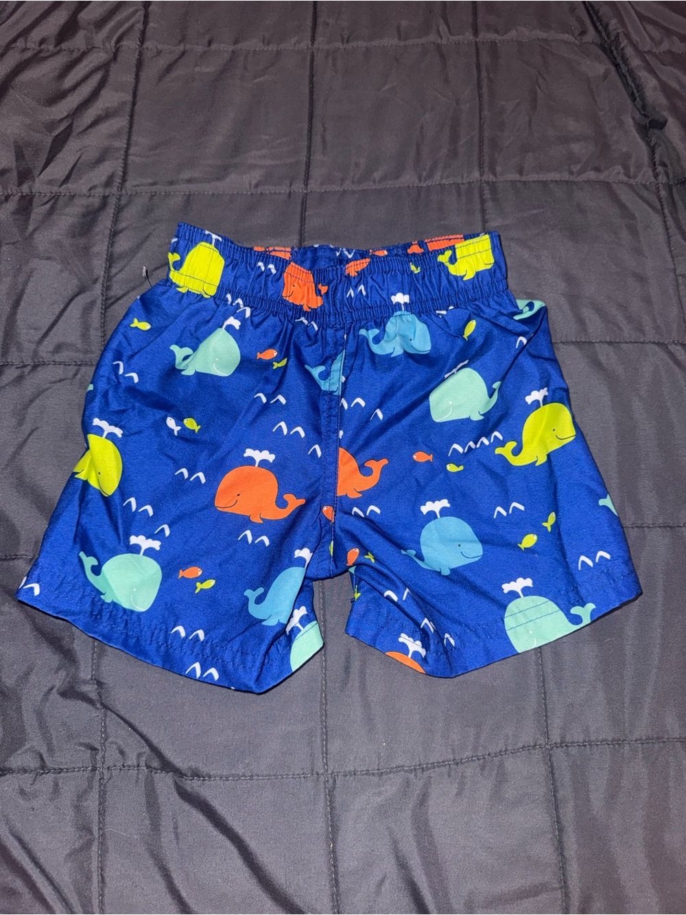 Swiggles Bright Blue Whale Swim Trunks with Colorful Whales